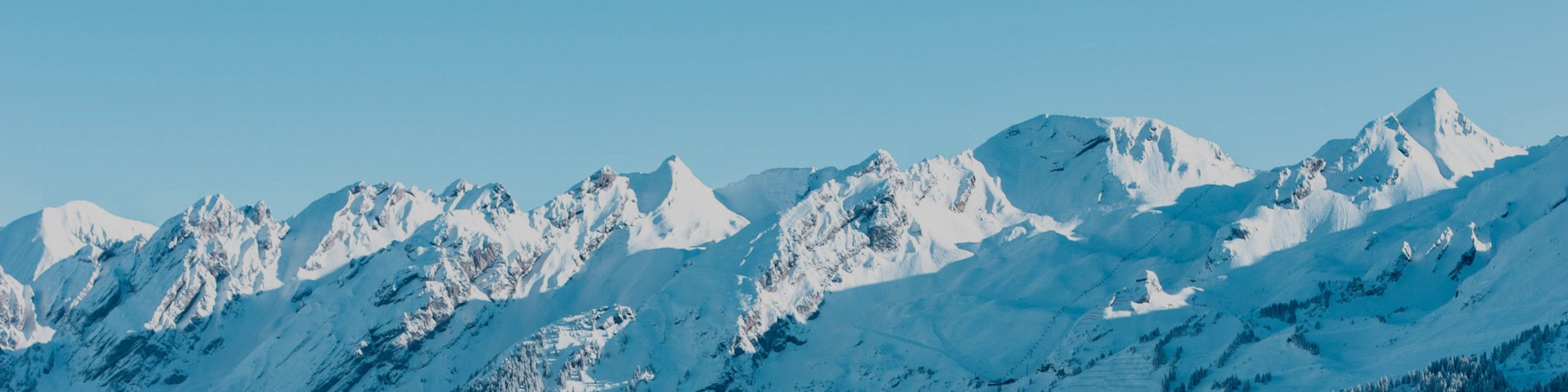 Skaljackor Skaljackor